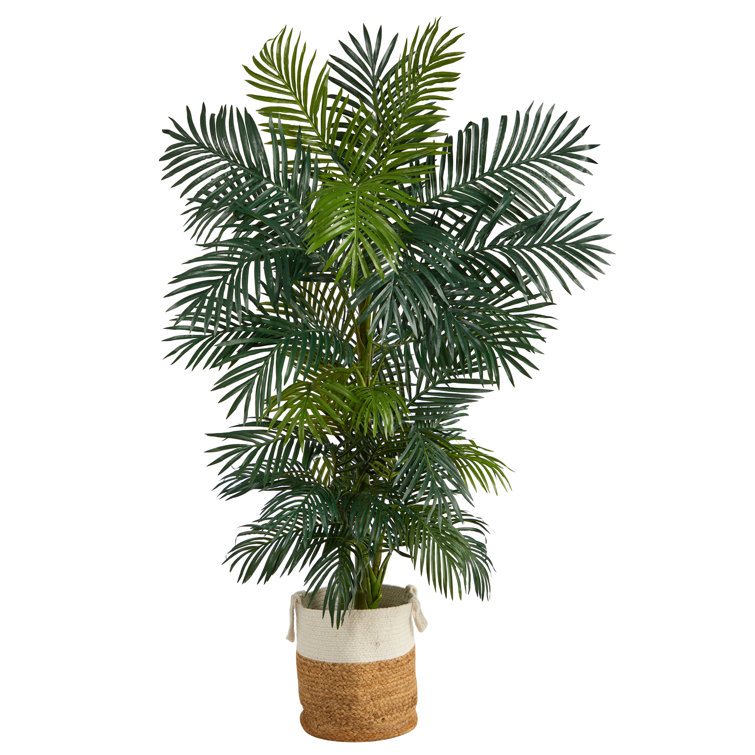 Primrue 78'' Artificial Palm Tree in Planter Wayfair Canada